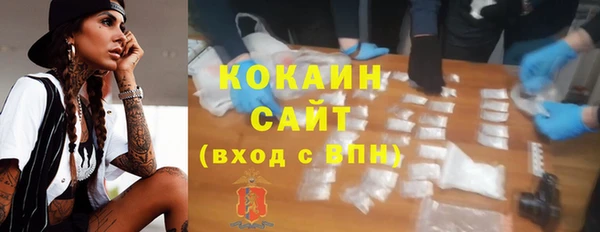 тгк Алексин