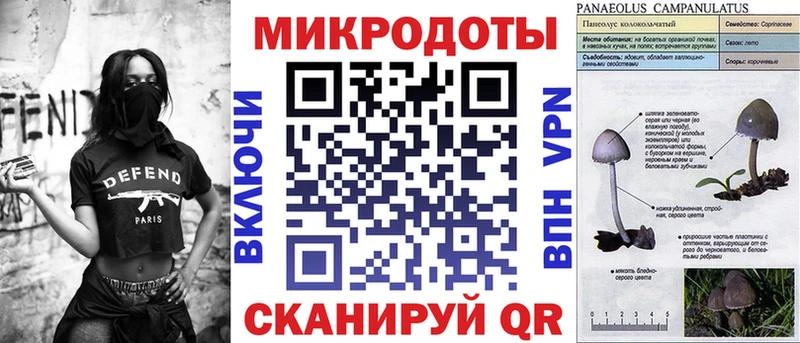 Псилоцибиновые грибы GOLDEN TEACHER  Чёрмоз 